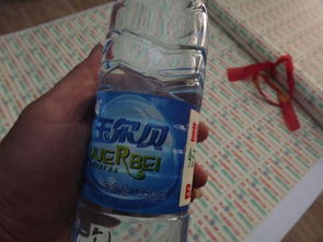 玉爾貝銷售與文山市宏泰副食批發部的多元化經營